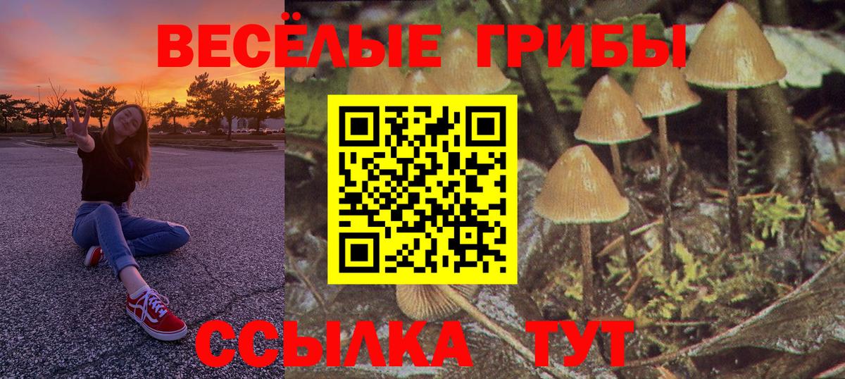 Обь  Галлюциногенные грибы прущие грибы  Вход с VPN  Псилоцибиновые грибы Magic Shrooms 